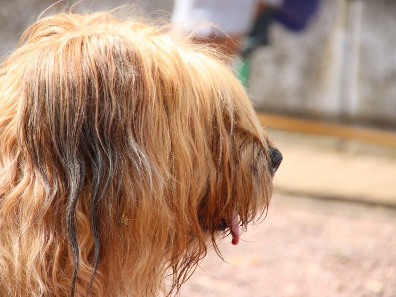 ein dorf spielt tt 2019 50 20211024