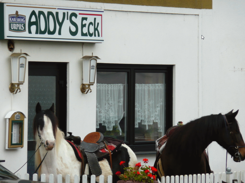 ttg classics 11 20211024